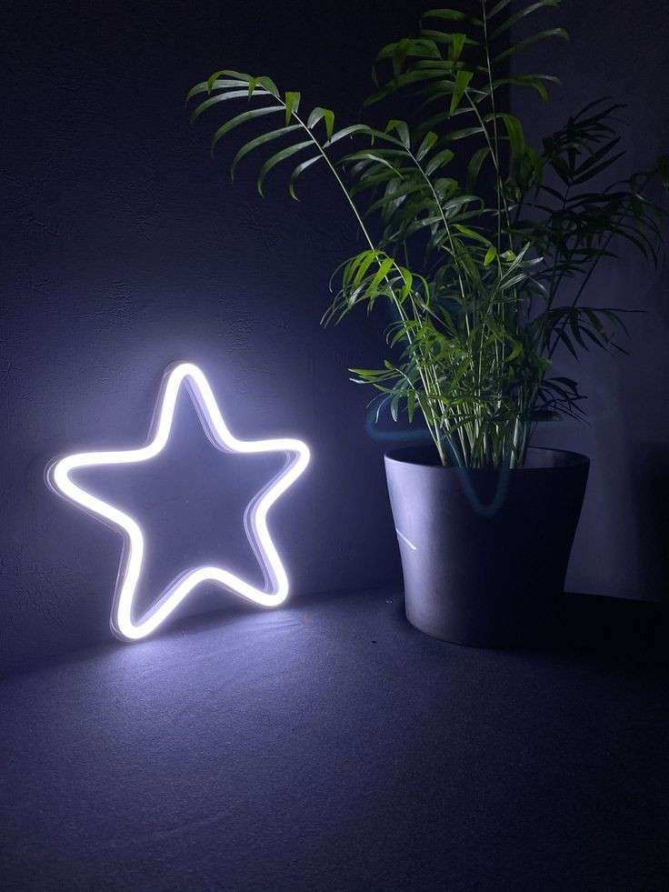 Star Mini Neon LED Sign