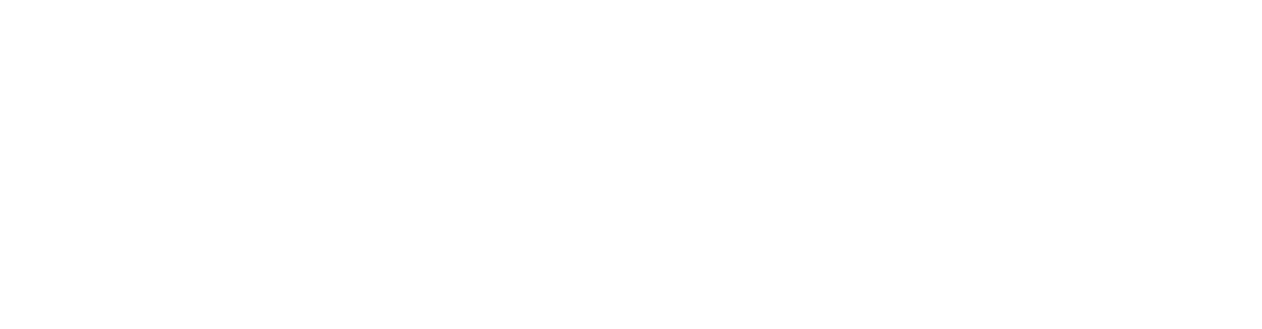 fancelite