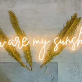 You Are My Sunshine Neon LED Sign