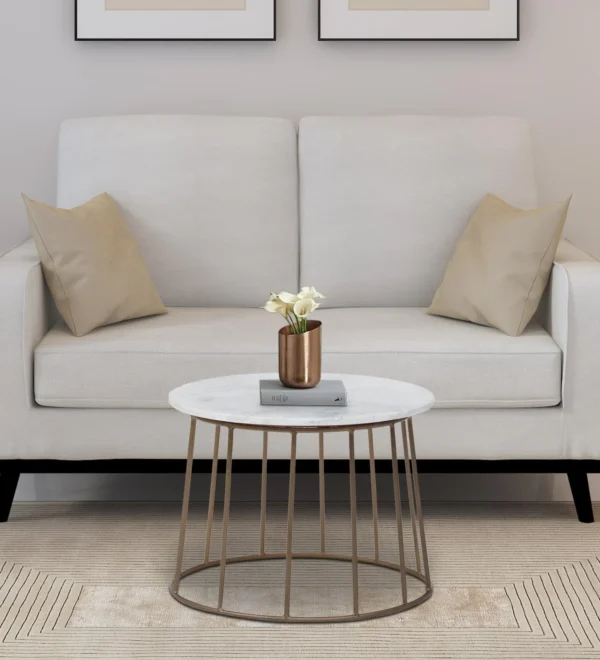 Round Coffee Table with Brass Finish & Elegant Marble Top