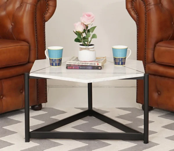 Elegant Taiga Coffee Table – Modern Luxury with Timeless Charm