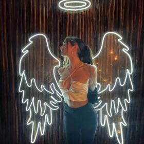 Wings White Neon Sign | Custom Neon Sign | Neon for Living Room, Banquet (48 By 48 Inches)