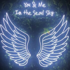 You and Me Wings Neon Sign | Custom Neon Sign | Neon for Restaurants, Banquet (40 By 40 Inches)