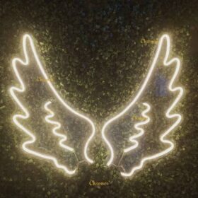 Wings Design Led Neon Light Sign (36X36 In)
